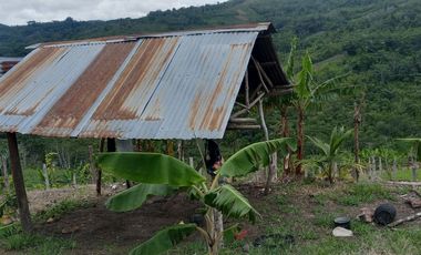 MAS DE 1 HECTAREA 14,900 M2 A 20 MINUTOS DE TARAPOTO Y CON RECURSO DE AGUA