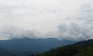 MAS DE 1 HECTAREA 14,900 M2 A 20 MINUTOS DE TARAPOTO Y CON RECURSO DE AGUA