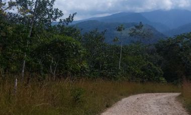 MAS DE 1 HECTAREA 14,900 M2 A 20 MINUTOS DE TARAPOTO Y CON RECURSO DE AGUA