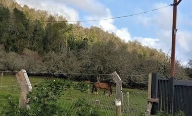 Parcela Sector Purey 7.340 mt2  $110.000.000.-