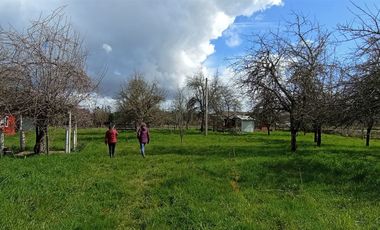 Parcela Sector Purey 7.340 mt2  $110.000.000.-