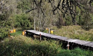 Parcela Sector Purey 7.340 mt2  $110.000.000.-