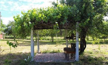 Parcela Sector Purey 7.340 mt2  $110.000.000.-