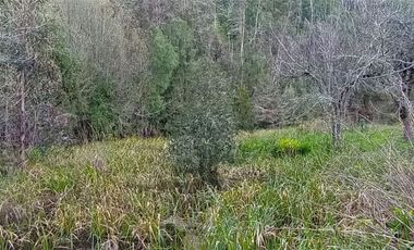 Parcela Sector Purey 7.340 mt2  $110.000.000.-