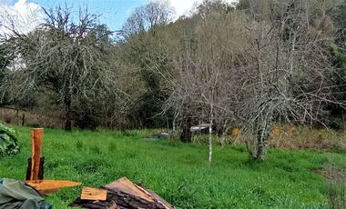 Parcela Sector Purey 7.340 mt2  $110.000.000.-