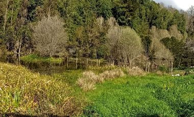 Parcela Sector Purey 7.340 mt2  $110.000.000.-