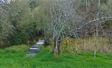 Parcela Sector Purey 7.340 mt2  $110.000.000.-