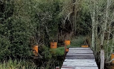 Parcela Sector Purey 7.340 mt2  $110.000.000.-