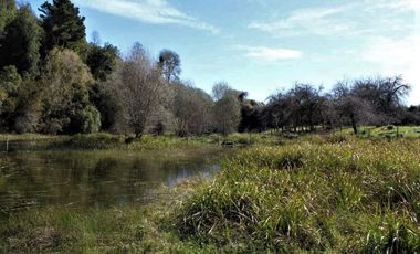 Parcela Sector Purey 7.340 mt2  $110.000.000.-