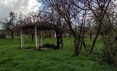 Parcela Sector Purey 7.340 mt2  $110.000.000.-