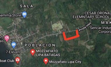 FOR SALE: Agricultural Lot - LA: 17,351 Sqm., Lipa Batangas