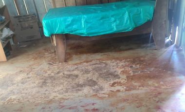 VENDO  FINCA GANADERA EN ANORÍ ANTIOQUIA.