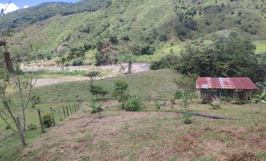 VENDO  FINCA GANADERA EN ANORÍ ANTIOQUIA.