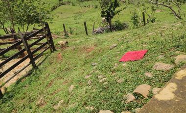 VENDO  FINCA GANADERA EN ANORÍ ANTIOQUIA.