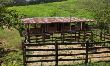 VENDO  FINCA GANADERA EN ANORÍ ANTIOQUIA.