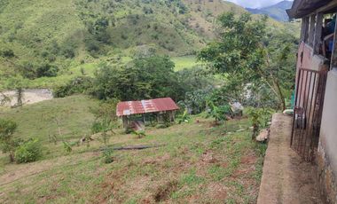 VENDO  FINCA GANADERA EN ANORÍ ANTIOQUIA.