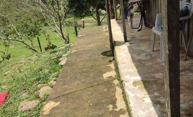 VENDO  FINCA GANADERA EN ANORÍ ANTIOQUIA.