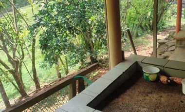 VENDO  FINCA GANADERA EN ANORÍ ANTIOQUIA.