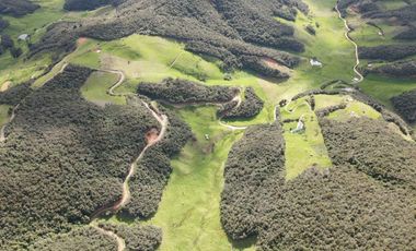 Terreno amplio en Tarqui