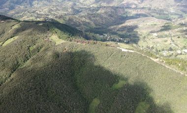 Terreno amplio en Tarqui