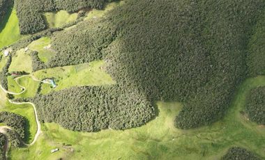Terreno amplio en Tarqui