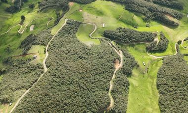 Terreno amplio en Tarqui