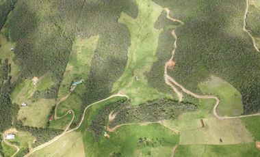 Terreno amplio en Tarqui