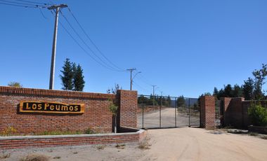 Parcelas Conjuntos Los Peumos, Unihue-Hualqui