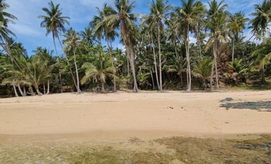 Beach Lot for Sale at Caluag, Quezon Province