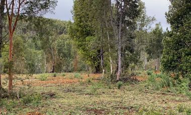 Parcelas en venta en Los Muermos, Proyecto Bosques De Rio Blanco - Región de Los Lagos