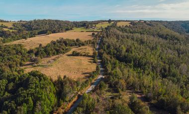 Parcelas en venta en Los Muermos, Proyecto Bosques De Rio Blanco - Región de Los Lagos