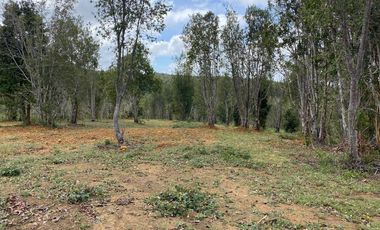 Parcelas en venta en Los Muermos, Proyecto Bosques De Rio Blanco - Región de Los Lagos
