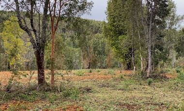 Parcelas en venta en Los Muermos, Proyecto Bosques De Rio Blanco - Región de Los Lagos