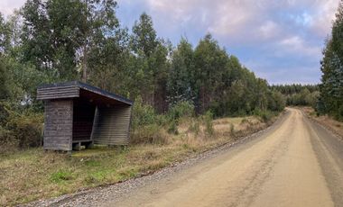Parcelas en venta en Los Muermos, Proyecto Bosques De Rio Blanco - Región de Los Lagos