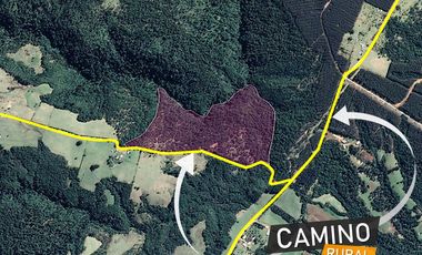 Parcelas en venta en Los Muermos, Proyecto Bosques De Rio Blanco - Región de Los Lagos