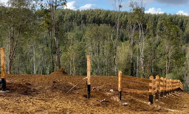 Parcelas en venta en Los Muermos, Proyecto Bosques De Rio Blanco - Región de Los Lagos