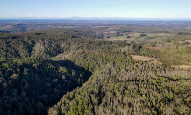 Parcelas en venta en Los Muermos, Proyecto Bosques De Rio Blanco - Región de Los Lagos