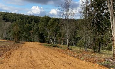 Parcelas en venta en Los Muermos, Proyecto Bosques De Rio Blanco - Región de Los Lagos