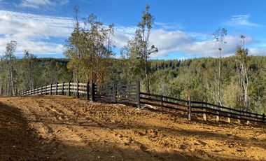 Parcelas en venta en Los Muermos, Proyecto Bosques De Rio Blanco - Región de Los Lagos