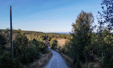 Parcelas en venta en Los Muermos, Proyecto Bosques De Rio Blanco - Región de Los Lagos