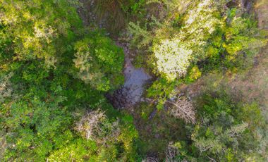 Parcelas en venta en Los Muermos, Proyecto Bosques De Rio Blanco - Región de Los Lagos