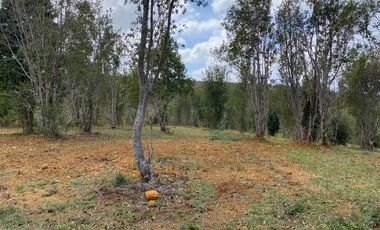 Parcelas en venta en Los Muermos, Proyecto Bosques De Rio Blanco - Región de Los Lagos