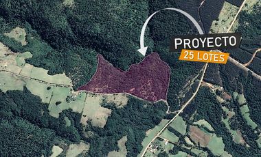 Parcelas en venta en Los Muermos, Proyecto Bosques De Rio Blanco - Región de Los Lagos