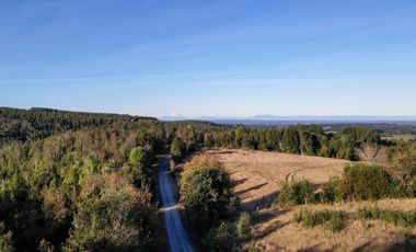 Parcelas en venta en Los Muermos, Proyecto Bosques De Rio Blanco - Región de Los Lagos