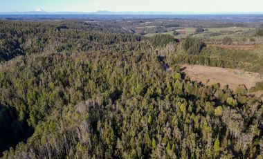 Parcelas en venta en Los Muermos, Proyecto Bosques De Rio Blanco - Región de Los Lagos