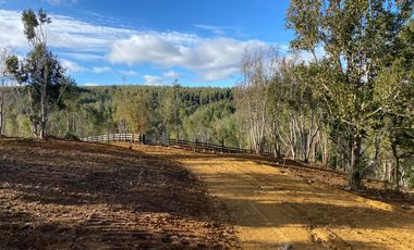 Parcelas en venta en Los Muermos, Proyecto Bosques De Rio Blanco - Región de Los Lagos