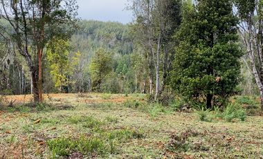 Parcelas en venta en Los Muermos, Proyecto Bosques De Rio Blanco - Región de Los Lagos
