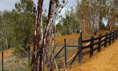 Parcelas en venta en Los Muermos, Proyecto Bosques De Rio Blanco - Región de Los Lagos