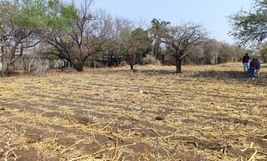 Vendo terreno plano de 400 m2 ubicado en la col. Eterna Primavera,   Santa Ursula, Temixco, Mor.