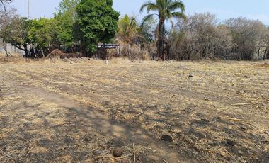 Vendo terreno plano de 400 m2 ubicado en la col. Eterna Primavera,   Santa Ursula, Temixco, Mor.